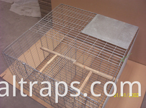 ratones de rata de múltiples capturas trampa de trampa de la jaula humane